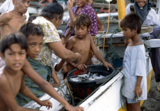ampenan verse visvangst wordt naar de markt gebracht
