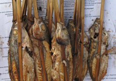 gedroogde-geroosterde-vis-op-lombok