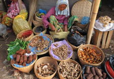 lokale-markt-in-de-kampong-op-lombok