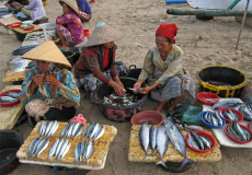 lokale-vismarkt-op-lombok