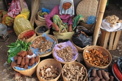 lokale-markt-in-de-kampong-op-lombok